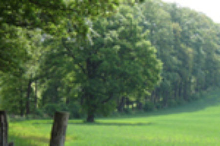 WasserZweckVerband­ Malchin Stavenhagen