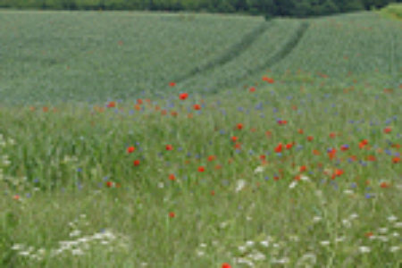 WasserZweckVerband­ Malchin Stavenhagen
