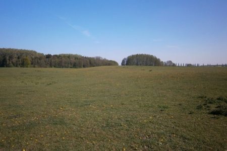 WasserZweckVerband­ Malchin Stavenhagen